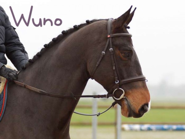 WUNO1